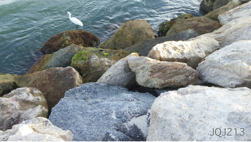 Illustration for article titled Went Down to the Jetties...